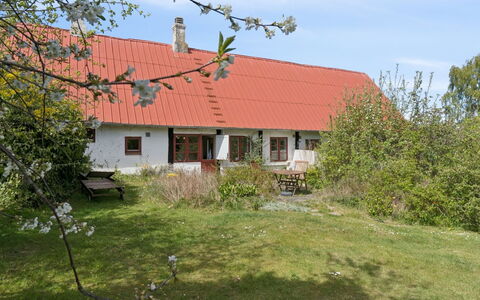 Espen - 300M from the Sea: Grass, Grassland, Land Lot, Cottage, Rural Area, Meadow, Garden Buildings, Garden, Shed