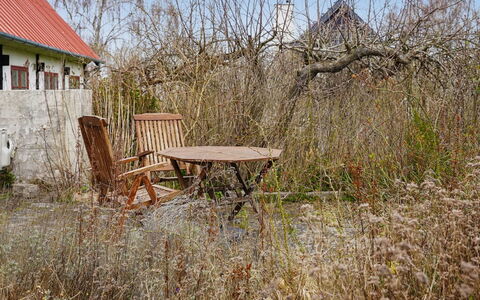 Espen - 300M from the Sea: Shrub, Rural Area, Cottage, Spring, Farmhouse, Twig, Garden, Backyard, Yard