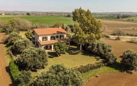 Tarquinia Garden Home: Tree, Plain, Grassland, Rural Area, Land Lot, Human Settlement, Estate, Field, Plantation