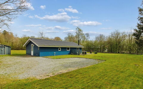 Brunhild - 29Km from the Sea: Plant Community, Sunlight, Herbaceous Plant, Garden, Plantation, Agriculture, Farm