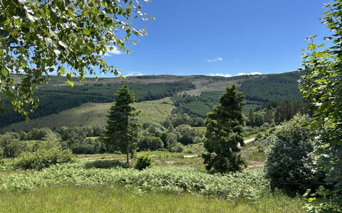 Highland Hillside Retreat: Mountainous Landforms, Green, Tree, Natural Environment, Nature, Hill, Mountain, Vegetation, Natural Landscape, Grassland