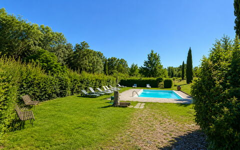 Civico108 Vacation Home, Pool, Castellina in Chian: Shrub, Swimming Pool, Garden, Lawn, Groundcover, Landscaping, Hedge, Outdoor Furniture, Shade, Estate