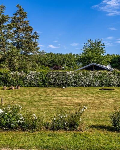Anneke - 500M from the Sea
