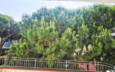 Rosolina Mare 664: Wood, House, Cottage, Home, Swimming Pool, Porch, Door, Resort, Shade, Estate