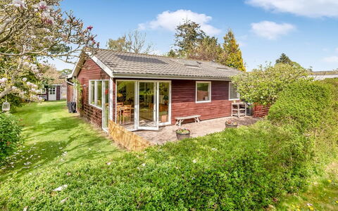 Amina - 500M from the Sea: House, Shrub, Cottage, Roof, Home, Groundcover, Garden, Farmhouse, Yard, Garden Buildings