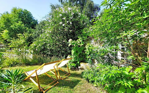 La Dolce Vita Brezhoneg: Green, Vegetation, Shrub, Garden, Spring, Shade, Backyard, Lawn, Yard, Landscaping