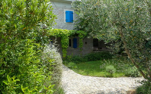 Ive: Furniture, Balcony, Shade, Garden, Outdoor Furniture, Chair, Porch, Yard, Landscaping, Backyard