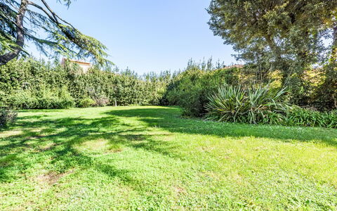 San Giovanni alla Vena: Furniture, Interior Design, Flooring, Chair, Floor, Table, Kitchen & Dining Room Table, Shade, Ceiling, Wood Stain