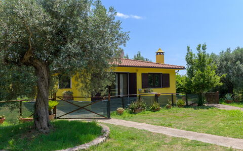 Cottage Girasole di Mare: Shrub, Cottage, Garden, Backyard, Lawn, Estate, Yard, Shade, Landscaping, Hacienda