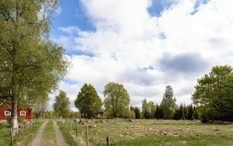 Grönadal: Grass, Tree, Leaf, Plain, Grassland, Land Lot, Rural Area, Field, Pasture