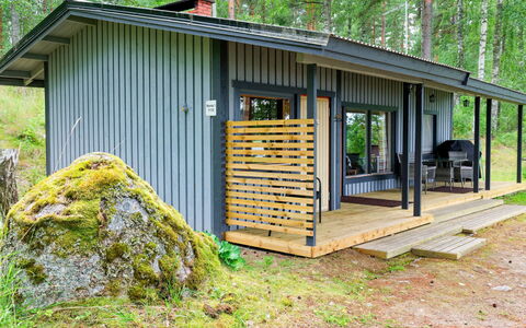 Ranta 1: Landscape, Land Lot, Plantation, Pine Family, Evergreen