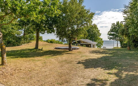Stefan - 50M from the Sea: Blue, Tree, Grass, Land Lot, Plain, Shade, Lawn, Meadow, Landscaping, Park