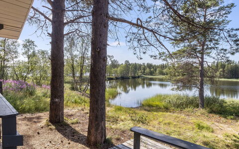 Sevettijärventie 8753: Tree, Natural Environment, Nature, Landscape, Land Lot, Woodland, Trunk, Reflection