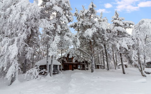 Ohola: Snow, Winter, Branch, Tree, Wood, Twig, House, Cottage, Freezing, Home