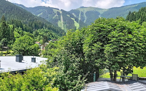Alpenhit Zell am See: Tree, Mountainous Landforms, Vegetation, Mountain, Hill, Shrub, Highland, Hill Station, Mountain Range, Ridge