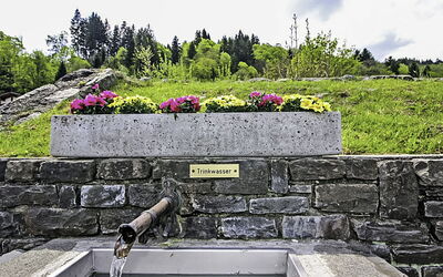 Accommodation:&nbsp;Ainhauser 300.2