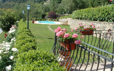 Casa Ivan: Garden, Flower, Plant, Shrub, Yard, Botany, Grass, Landscaping, Spring, Landscape