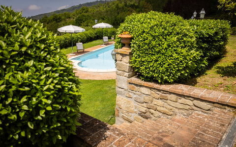 Casa Ivan: Shrub, Garden, Groundcover, Hedge, Landscaping, Lawn, Backyard, Swimming Pool, Yard, Eco Hotel