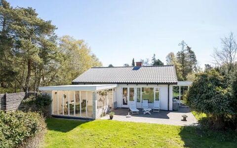 Ileana - 250M from the Sea: Vegetation, Shrub, Spring, Cottage, Garden, Shade, Backyard, Yard, Chair