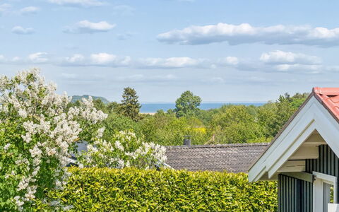 Jügen - 600M to the Fjord: Blue, Green, Vegetation, Shrub, Garden, Hedge, Groundcover, Spring, Sunlight, Landscaping