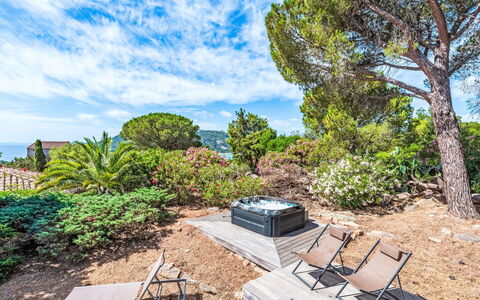 Mare Serena: Shrub, Plant Community, Garden, Landscaping, Outdoor Furniture, Eco Hotel, Tropics