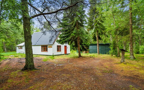 Jooseppi - 4.8Km from the Sea: Tree, Grass, Wood, Cottage, Home, Land Lot, Rural Area, Trunk, Woodland, Garden Buildings