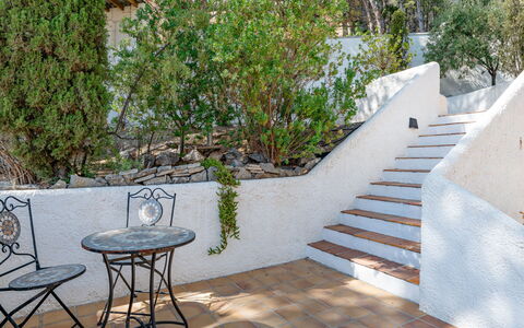 Preciados: Stairs, Flowerpot, Garden, Shade, Flagstone, Landscaping, Handrail, Houseplant, Design, Outdoor Furniture