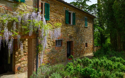 Villa the Horses: Shrub, Garden, Brick, Stone Wall