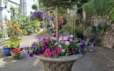 The Mews