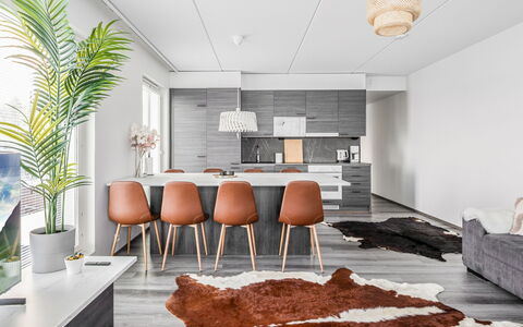 Jacuzzi Penthouse: Apartment, Condominium, Mixed-Use, Hotel, Resort, Resort Town, Boutique Hotel