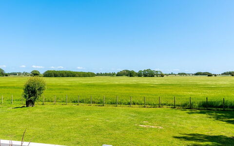 Saku - 375M from the Sea: Sky, Blue, Green, Daytime, Grass, Natural Environment, Grassland, Natural Landscape, Plain, Cloud