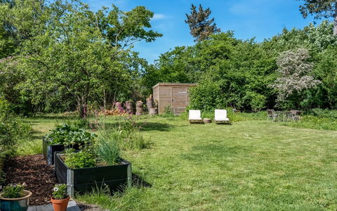 Franki - 1.8Km from the Sea: Vegetation, Shrub, Garden, Land Lot, Plant Community, Groundcover, Lawn, Shade, Backyard