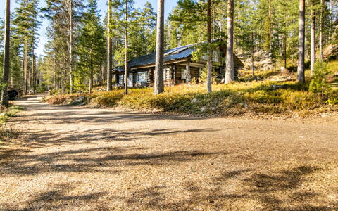 Villa Underberg: Tree, Woodland, Forest, Trunk, Cottage, Larch, Grove, Log Cabin