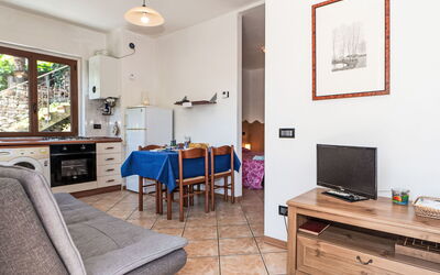 Accommodation:&nbsp;Andrea 260.1