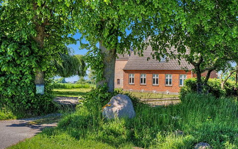 Mynthe - 750M from the Sea: Tree, Grass, Green, Leaf, Shrub, House, Home, Rural Area, Cottage