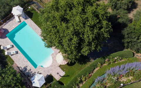 Casa dei Nonni: Swimming Pool, Garden, Leisure, Resort, Lawn, Estate, Backyard, Landscaping, Shade, Yard