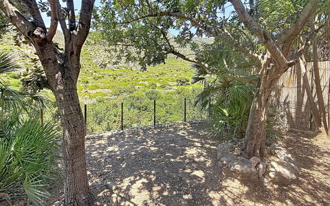 Villa sulla Roccia: Branch, Wood, Plant Community, Trunk, Soil, Woody Plant, Shade, Fence, Garden