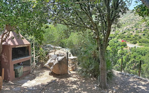 Villa sulla Roccia: Vegetation, Shrub, Plant Community, Rural Area, Garden, Soil, Shrubland, Backyard, Path