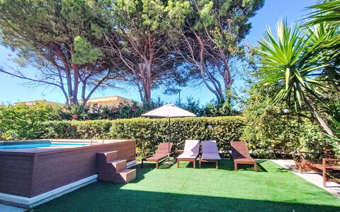 Last Sun Roccella: Shrub, Garden, Landscaping, Lawn, Shade, Backyard, Leisure, Yard, Eco Hotel, Artificial Turf