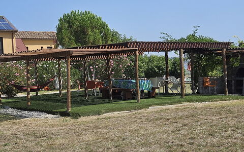Casale dei Ciliegi: Shade, Garden, Land Lot, Gazebo, Lawn, Outdoor Structure, Backyard, Pavilion, Pergola