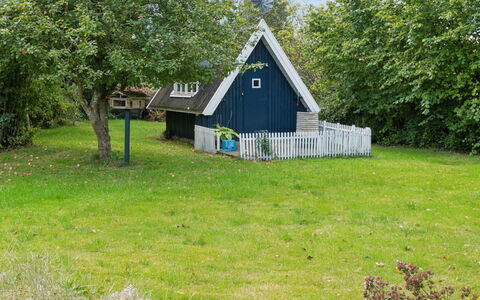Aleksia - 1.4Km from the Sea: Vegetation, Shrub, Spring, Cottage, Garden, Shade, Backyard, Yard, Chair