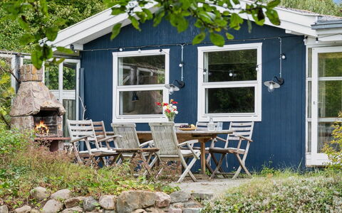 Aleksia - 1.4Km from the Sea: Vegetation, Shrub, Spring, Cottage, Garden, Shade, Backyard, Yard, Chair