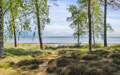 Liska - 60M from the Sea: Wood, Roof, Home, House, Architecture, Siding, Land Lot, Cottage, Shed, Garden Buildings