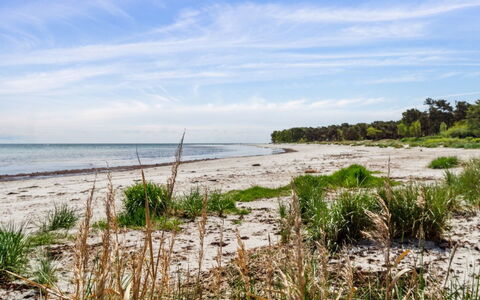 Liska - 60M from the Sea: Wood, Roof, Home, House, Architecture, Siding, Land Lot, Cottage, Shed, Garden Buildings