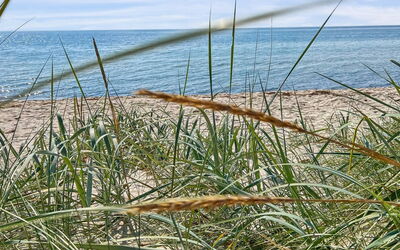 Jerg - 1Km from the Sea