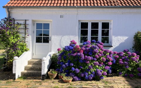 Hening - 150M from the Sea: Building, House, Window, Home, Roof, Residential Area, Shrub, Cottage, Land Lot