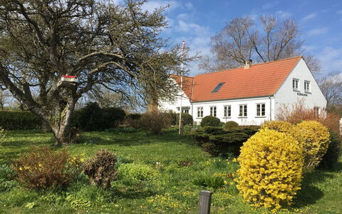 Hening - 150M from the Sea: Building, House, Window, Home, Roof, Residential Area, Shrub, Cottage, Land Lot