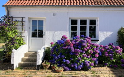 Hening - 150M from the Sea