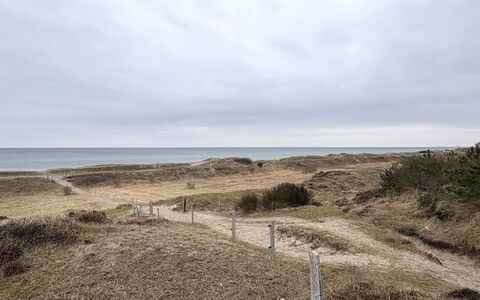 Elisej - 350M from the Sea: Sky, Horizon, Ecoregion, Plain, Plant Community, Land Lot, Sand, Shrubland, Soil, Steppe