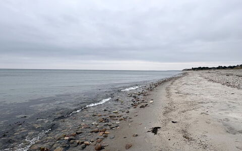 Elisej - 350M from the Sea: Sky, Blue, Water, Beach, Natural Environment, Horizon, Coast, Shore, Sea